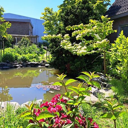 Luxe Ruime Studio Op Unieke, Rustige Locatie Dokkum Ngoại thất bức ảnh